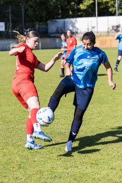 Bild 44 - wBJ TuS Rotenhof - Holstein Kiel : Ergebnis: 1:4